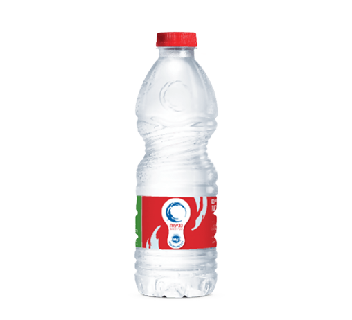 מים מינרליים 